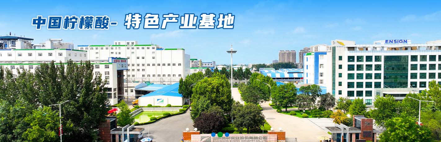 Shandong Ensign Industry Co., Ltd.
