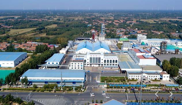 Shandong Xingguang Shouchuang Biotechnology Co., Ltd.