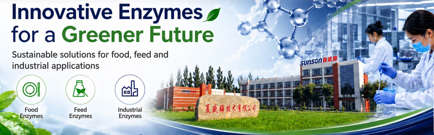 Sunson Industry Group Co., Ltd.