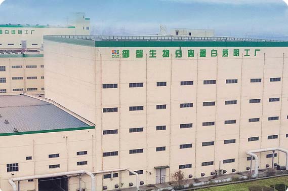 Shandong Yuxin Bio-tech Co., Ltd.